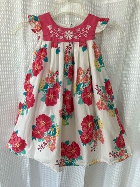 Maggie & Zoe Floral Embroidered Dress Girls 4T Flutter Sleeve Lined Cotton